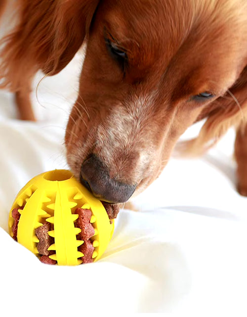 Load image into Gallery viewer, Dog Food Treat Feeder Funny Pet Interactive Rubber Ball Dogs Chew Toy Tooth Cleaning Ball Puppy Training Bite Resistant Toy Ball
